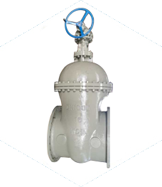 High pressure large diameter gate valve