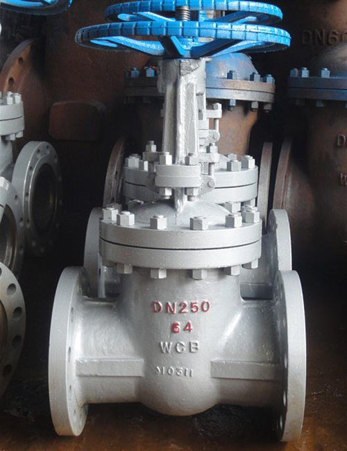 Large diameter check valve