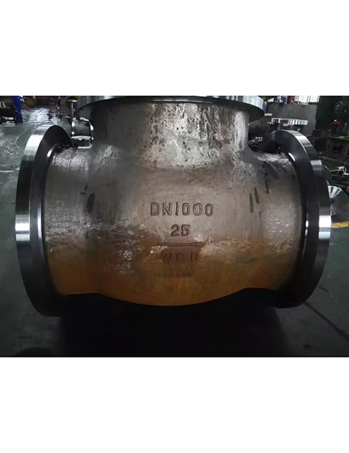 Large diameter check valve