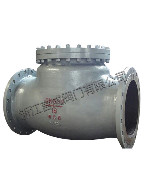 Large diameter check valve H44H-16C-DN600